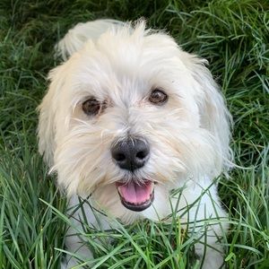 Meet your Posher, Caroline